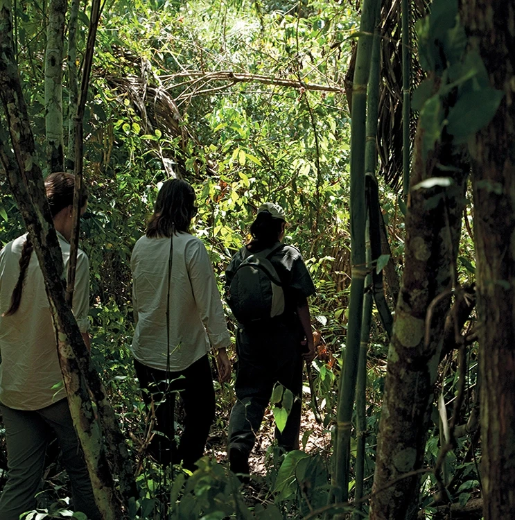 Amazon Jungle Peru