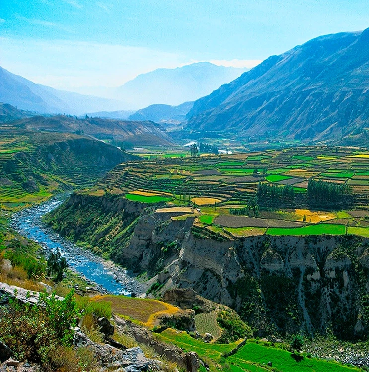 Colca Canyon