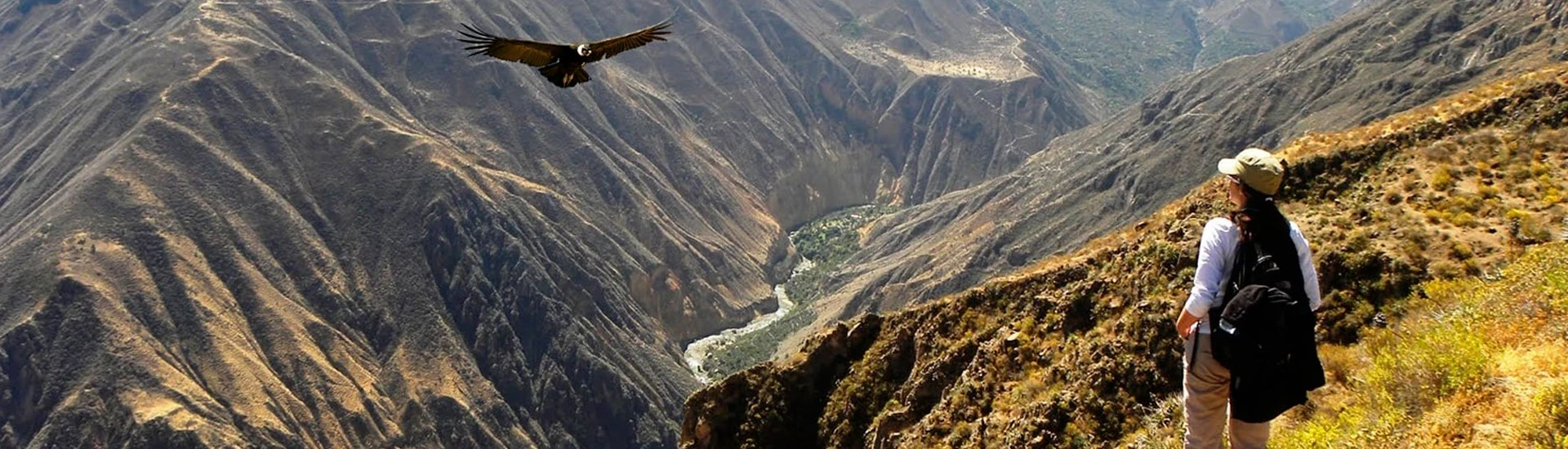 Colca Canyon