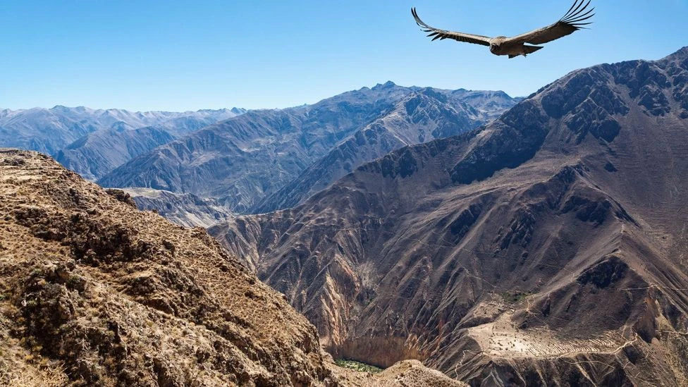 Colca Canyon