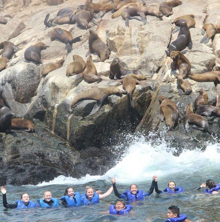 Palomino Island Tour