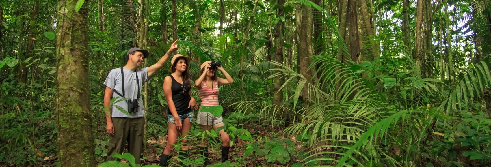 Amazon Rainforest to Machu Picchu