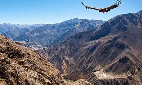 Colca Canyon to Machu Picchu