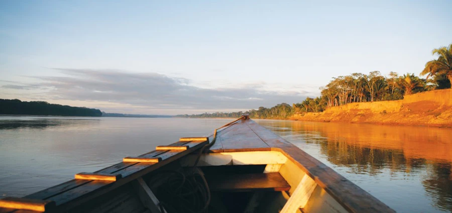 Amazon Rainforest Night Safari