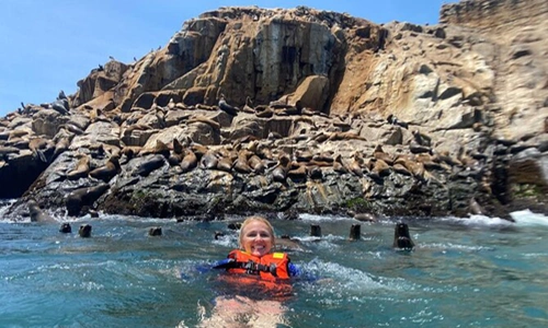 Palomino Islands Wildlife Encounter