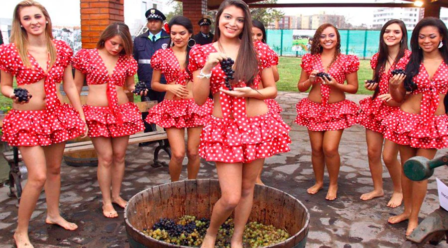 Wine Tasting in the Vineyard